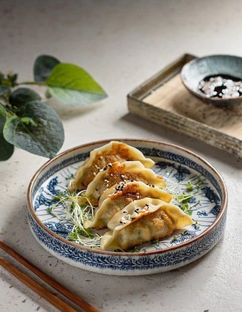 Gyoza Plate